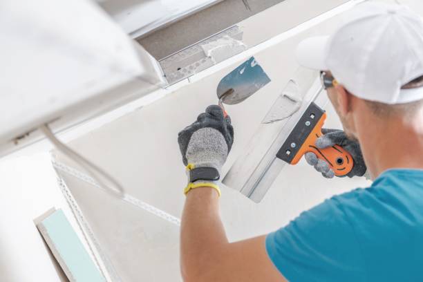 Best Drywall Sanding and Smoothing  in Durant, IA